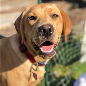 Meet your Posher, Cheryl